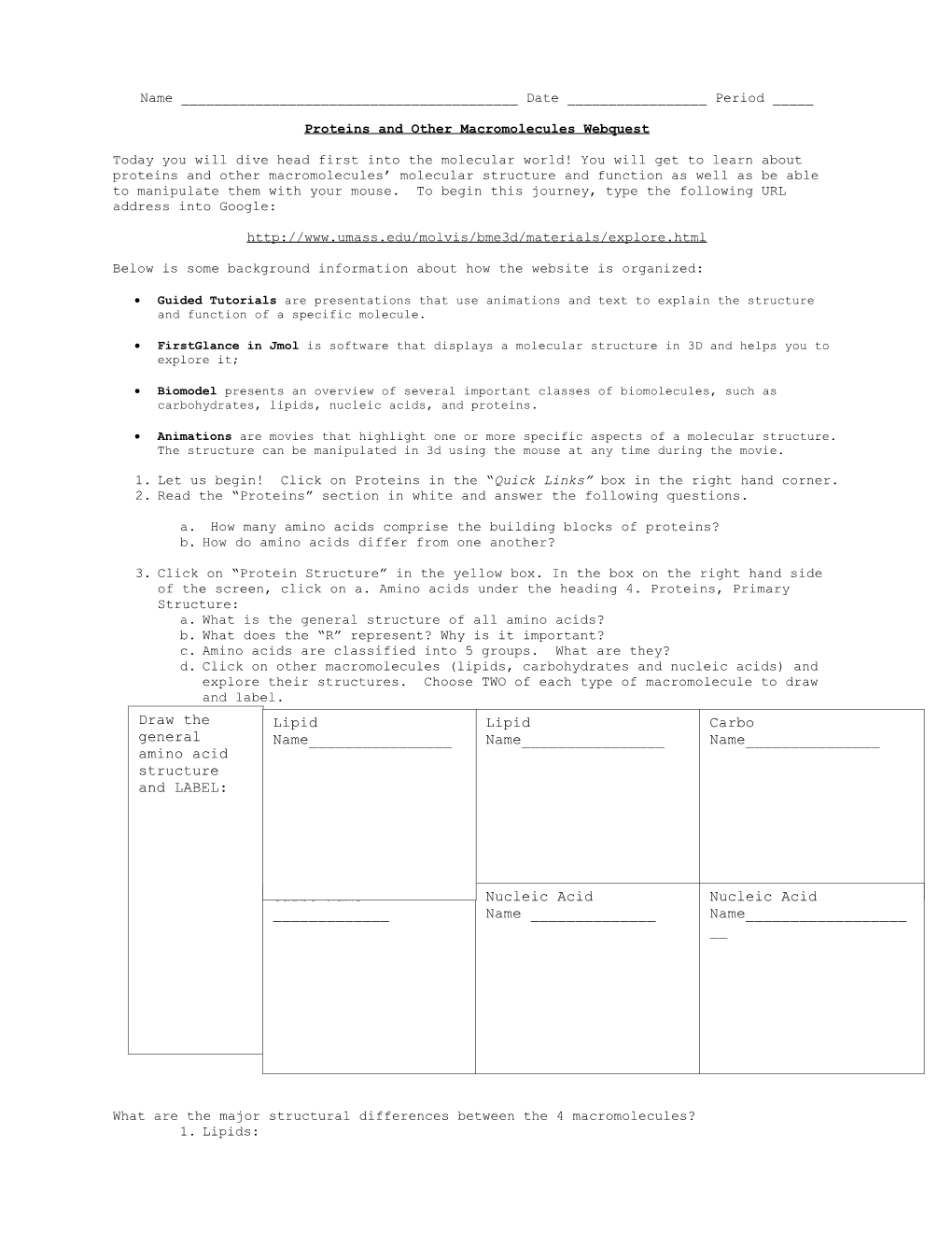 Proteins and Other Macromolecules Webquest