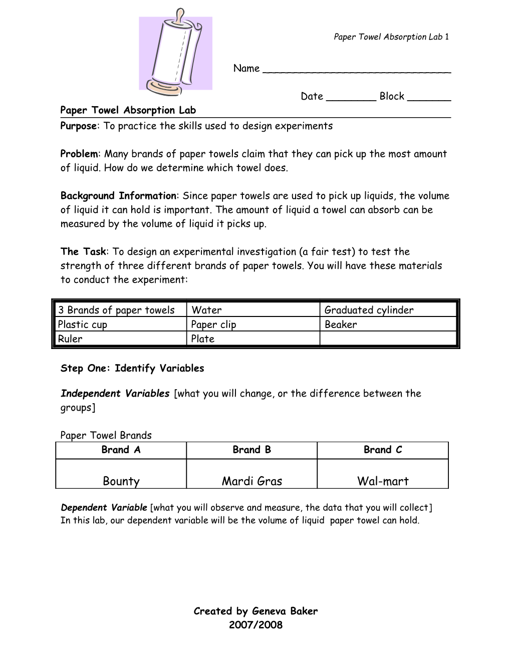 Paper Towel Absorption Lab