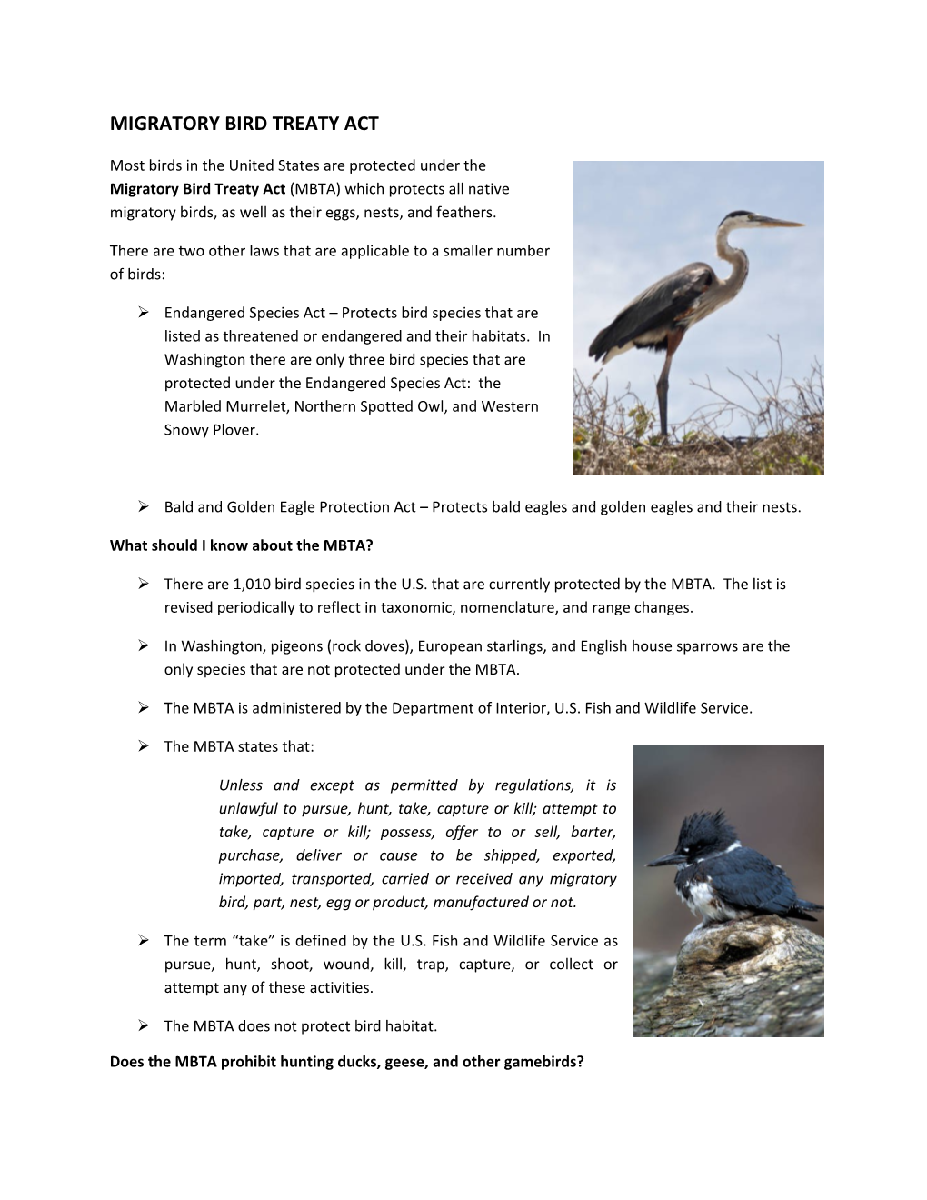 Migratory Bird Treaty Act