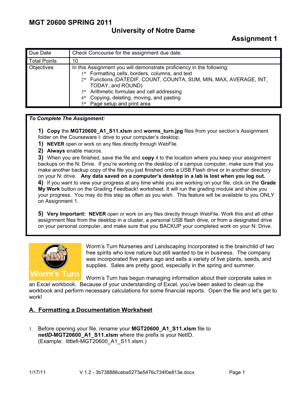 Formatting Cells, Borders, Columns, and Text