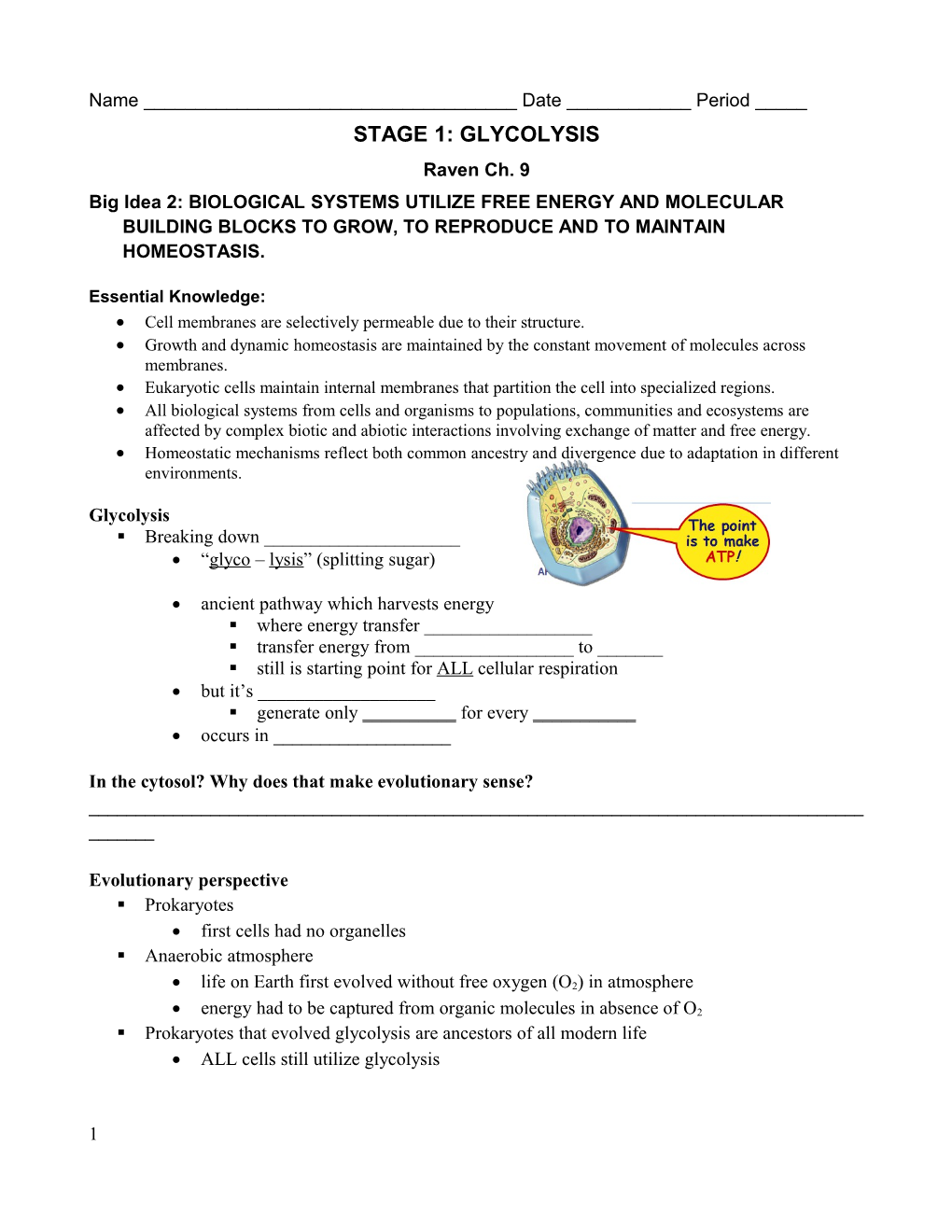 Stage 1: Glycolysis