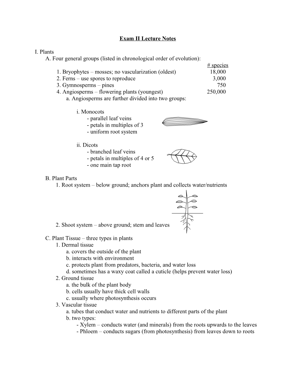 Exam II Lecture Notes