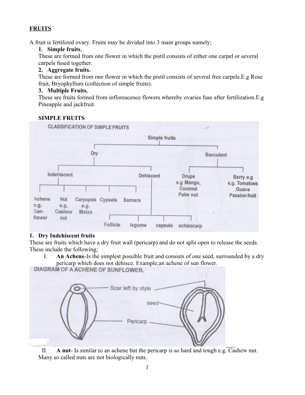 A Fruit Is Fertilized Ovary. Fruits May Be Divided Into 3 Main Groups Namely;