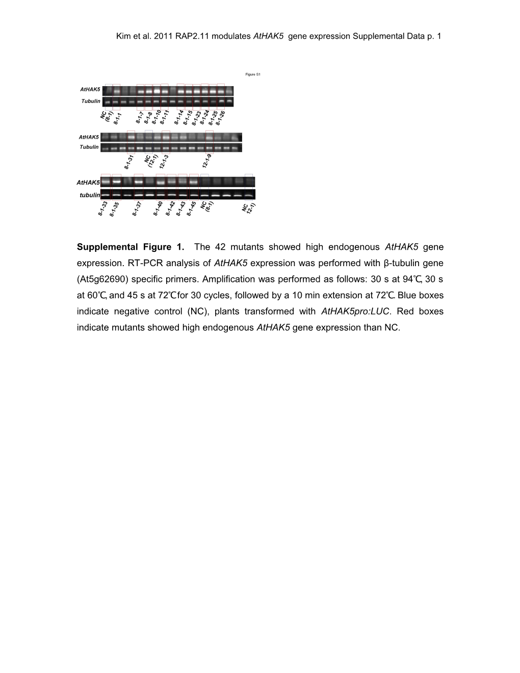 Kim Et Al. 2011 RAP2.11 Modulates Athak5 Gene Expression Supplemental Data P. 1