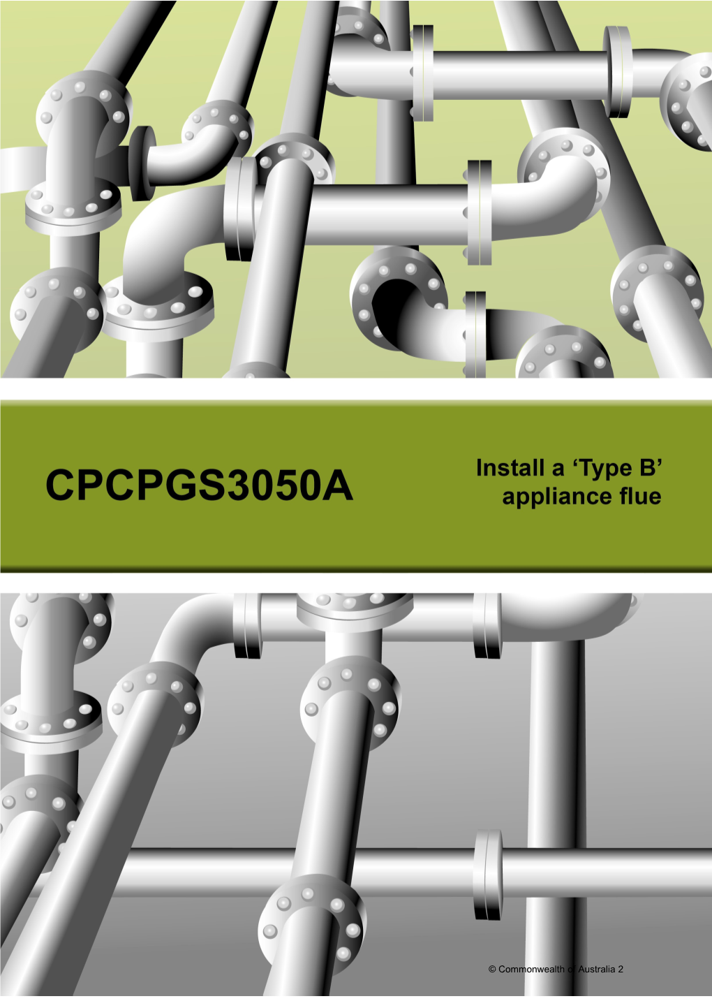 Cpcpgs3050a - Install Type B Gas Appliance Flues