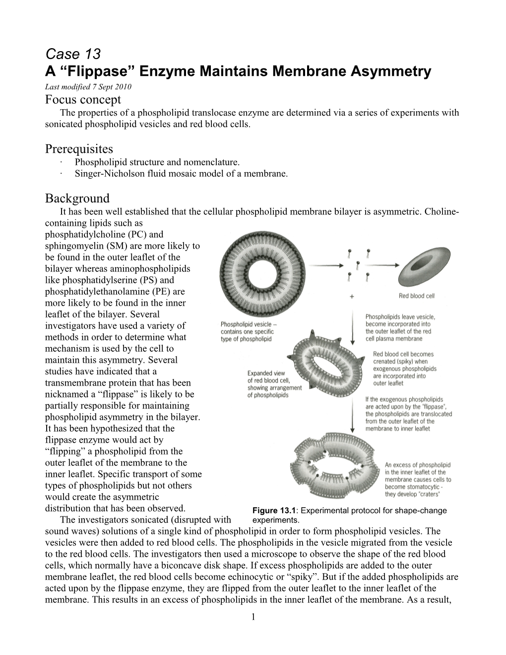 A Flippase Enzyme Maintains Membrane Asymmetry