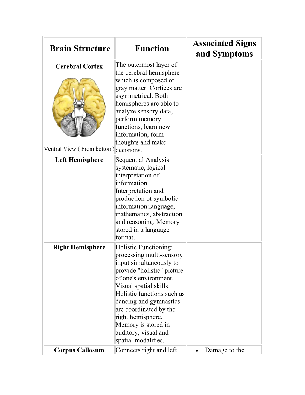 Damage to the Corpus Callosum May Result in Split Brain Syndrome