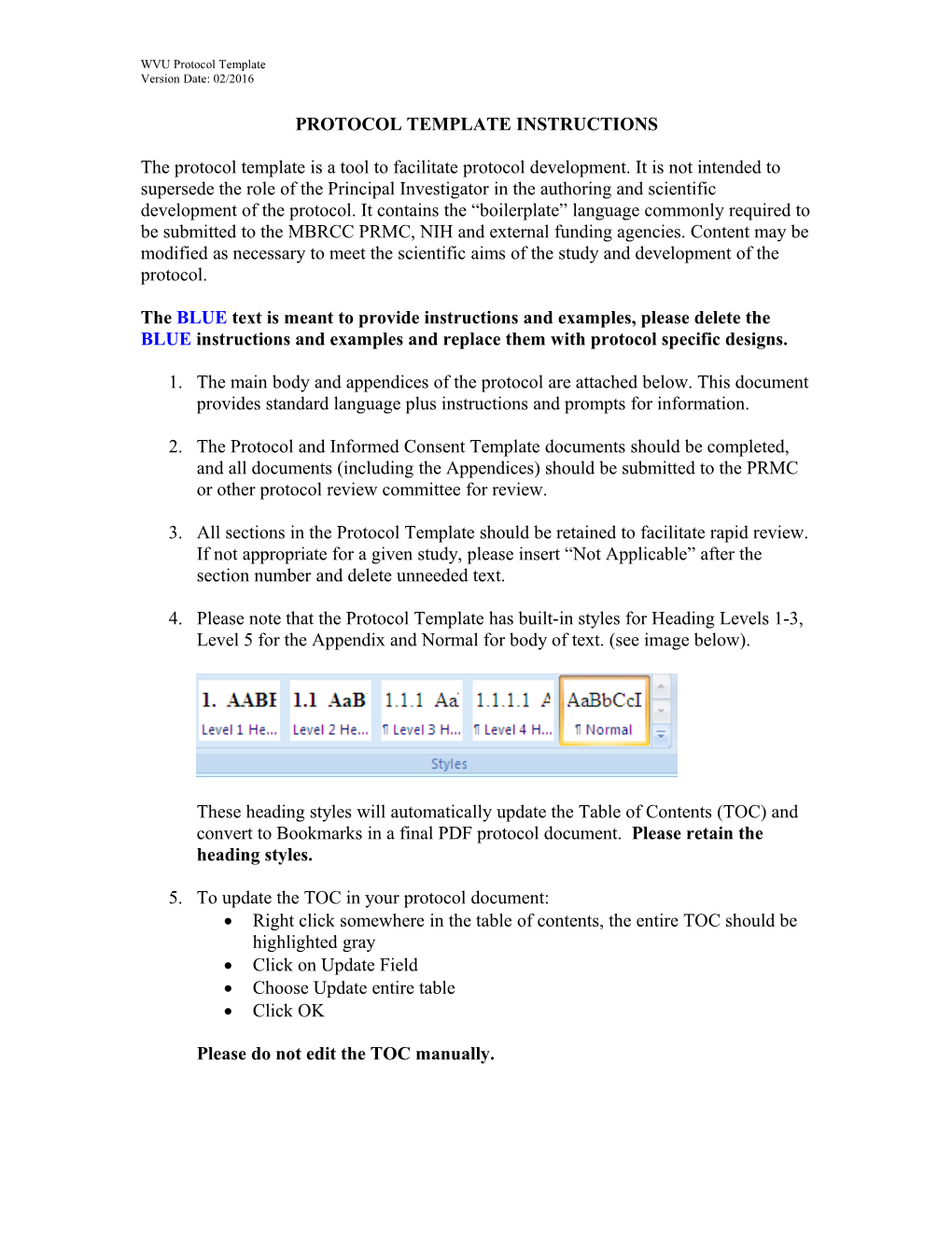 Protocol Template Instructions