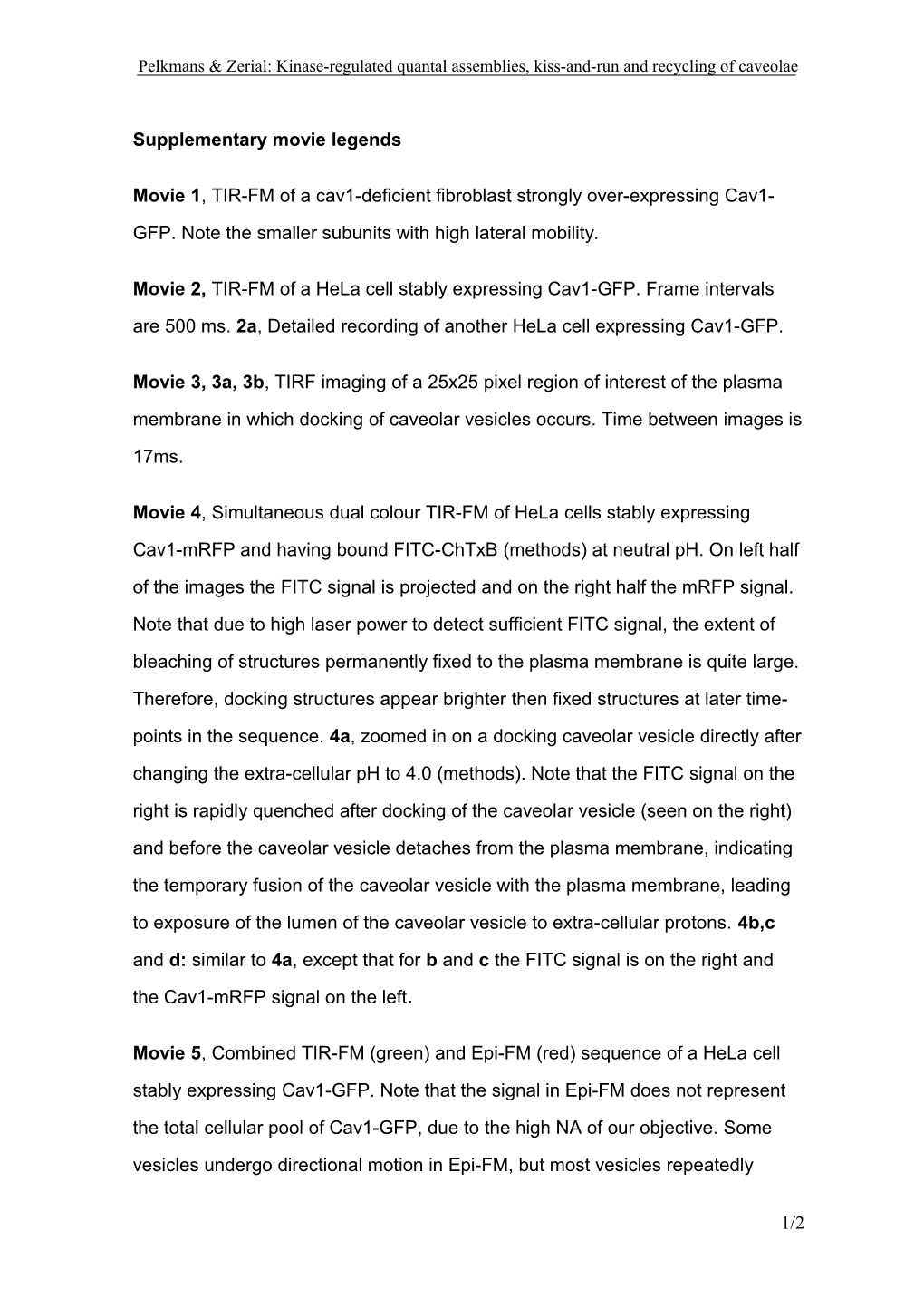 Movie 1, TIR-FM of a Cav1-Deficient Fibroblast Strongly Over-Expressing Cav1-GFP