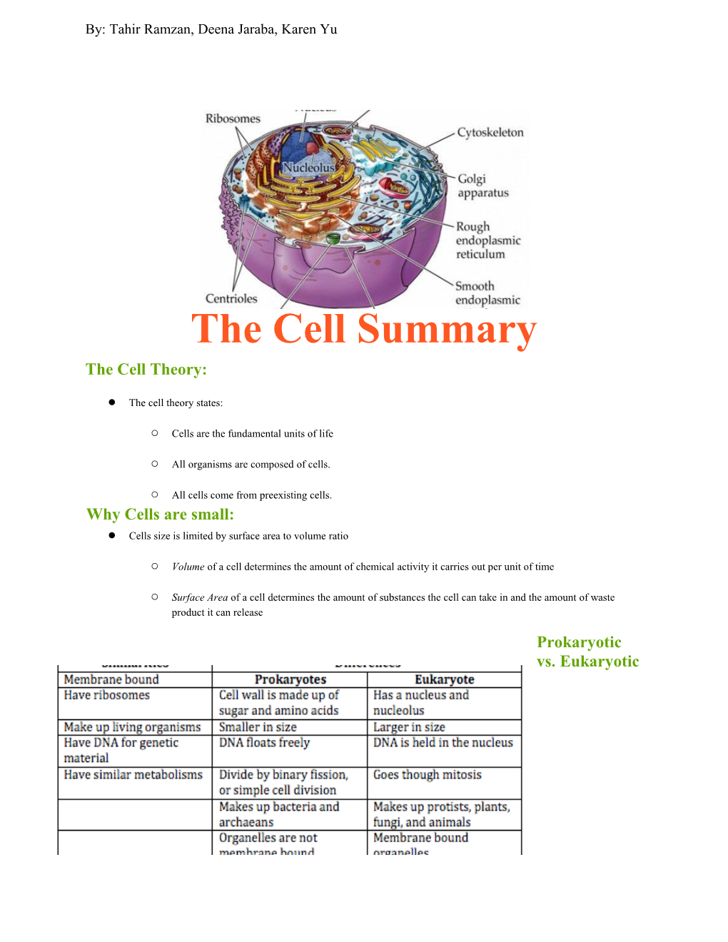 The Cell Summary