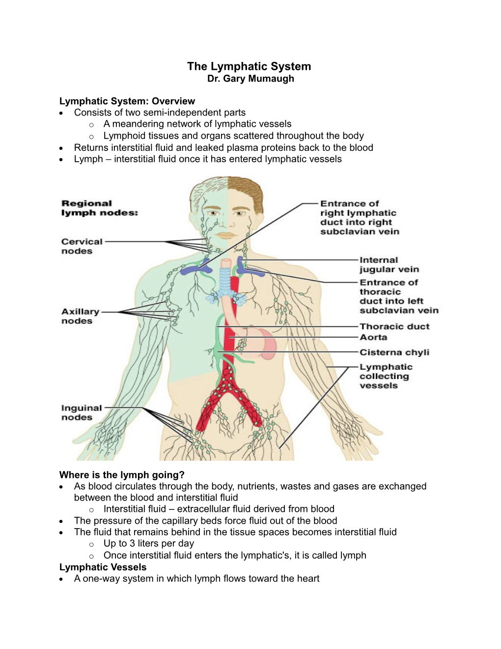 The Lymphatic System