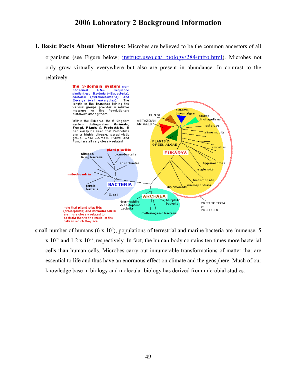 2006 Laboratory 2 Background Information