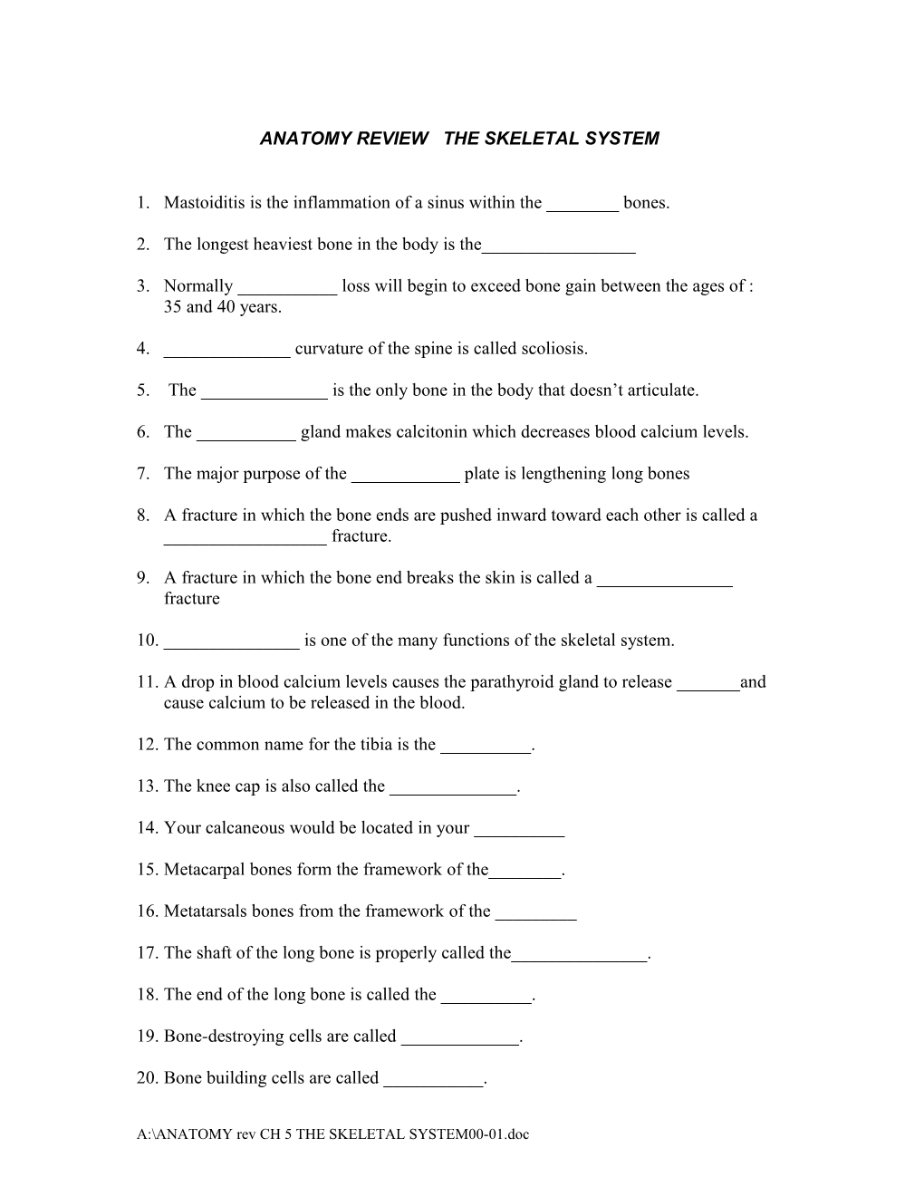 Anatomy Test Ch 5 the Skeletal System