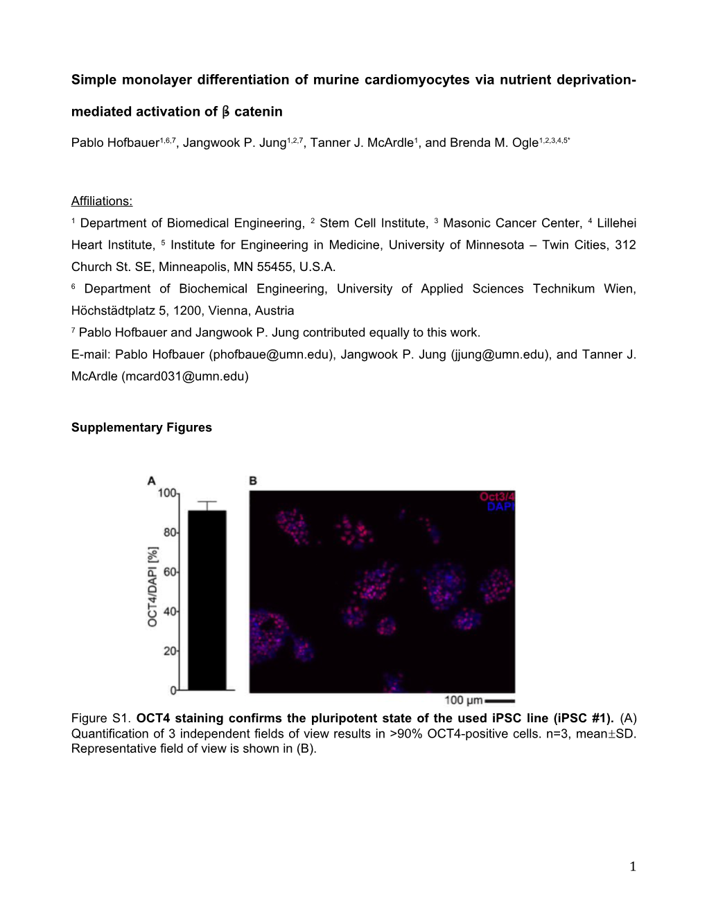 Simple Monolayer Differentiation of Murine Cardiomyocytes Via Nutrient Deprivation-Mediated