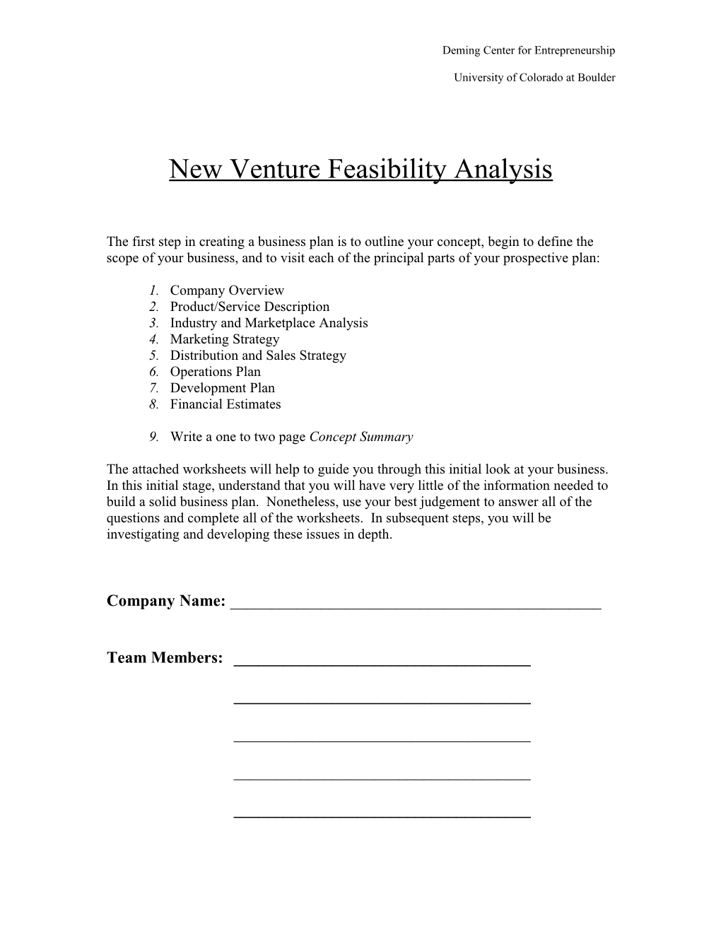 New Venture Feasibility Analysispage 1