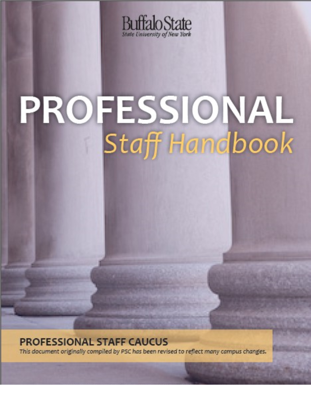 Professional Staff Handbook