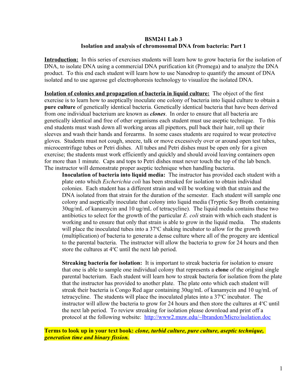 Isolation and Analysis of Chromosomal DNA from Bacteria: Part 1