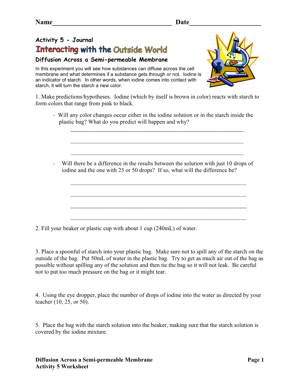 Activity Sheet: Cell Membranes - Spontaneous Formation