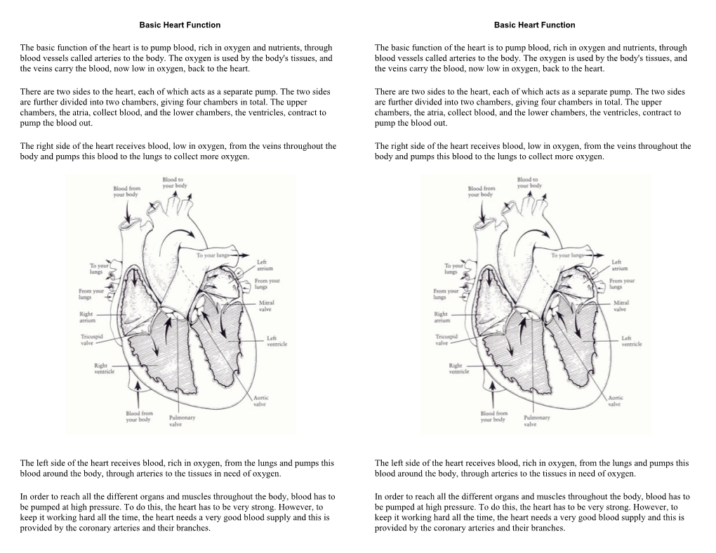 Basic Heart Function