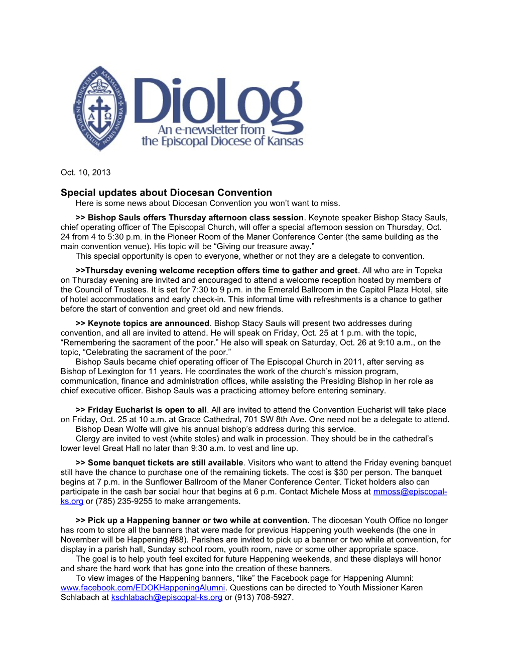 Special Updates About Diocesan Convention