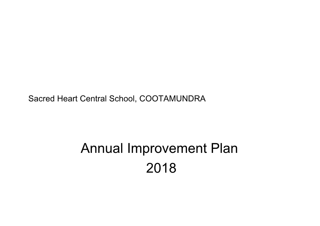 Annual Improvement Plan