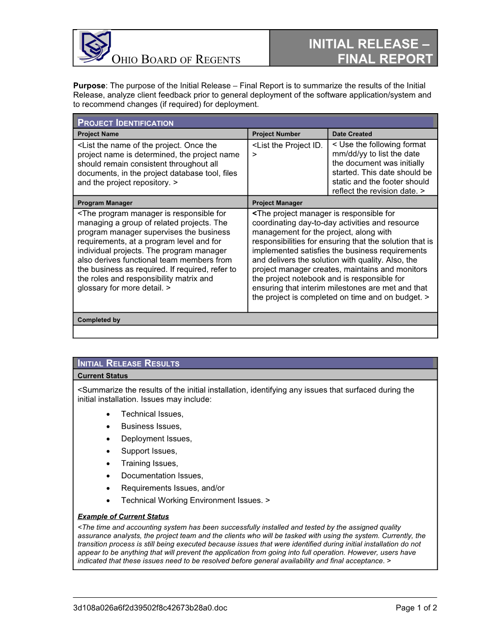 Initial Release Final Report Template