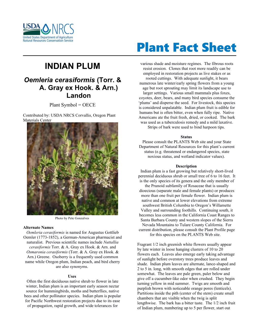 Indian Plum Plant Fact Sheet