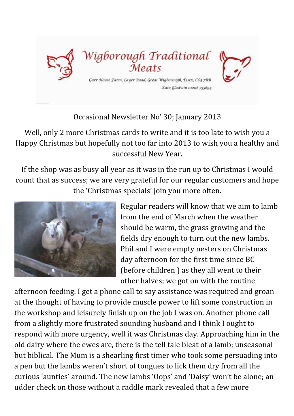 Occasional Newsletter No 30; January 2013