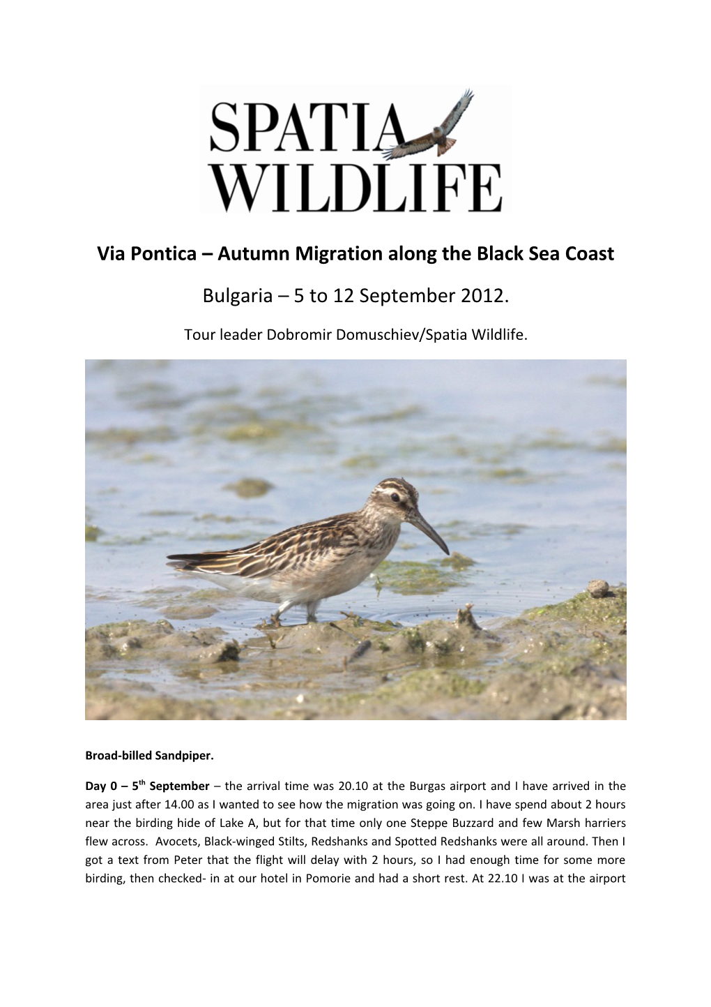 Via Pontica Autumn Migration Along the Black Sea Coast