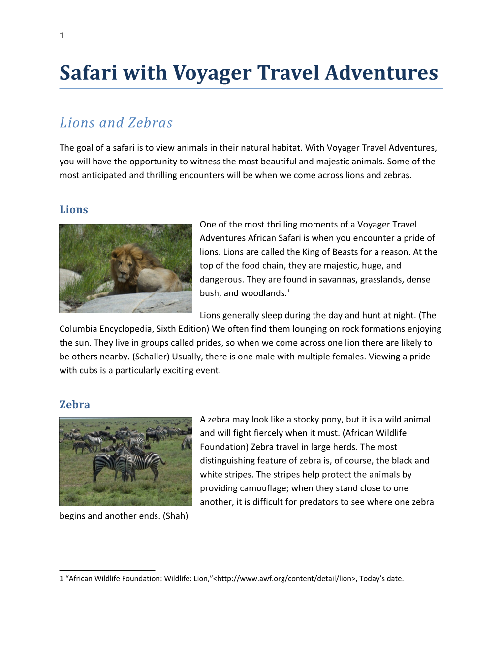 Safari with Voyager Travel Adventures