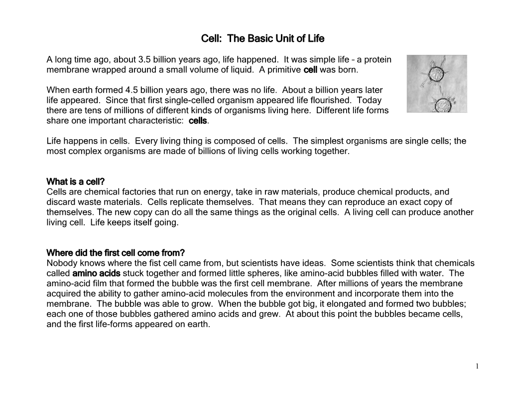 Cell: the Basic Unit of Life
