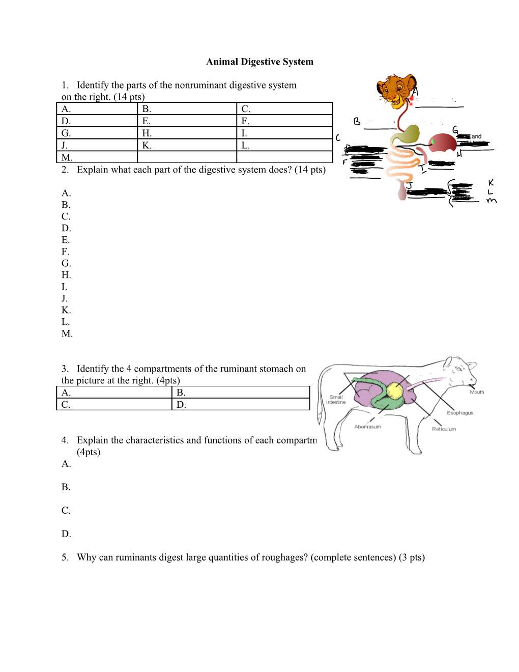 Animal Digestive System Review