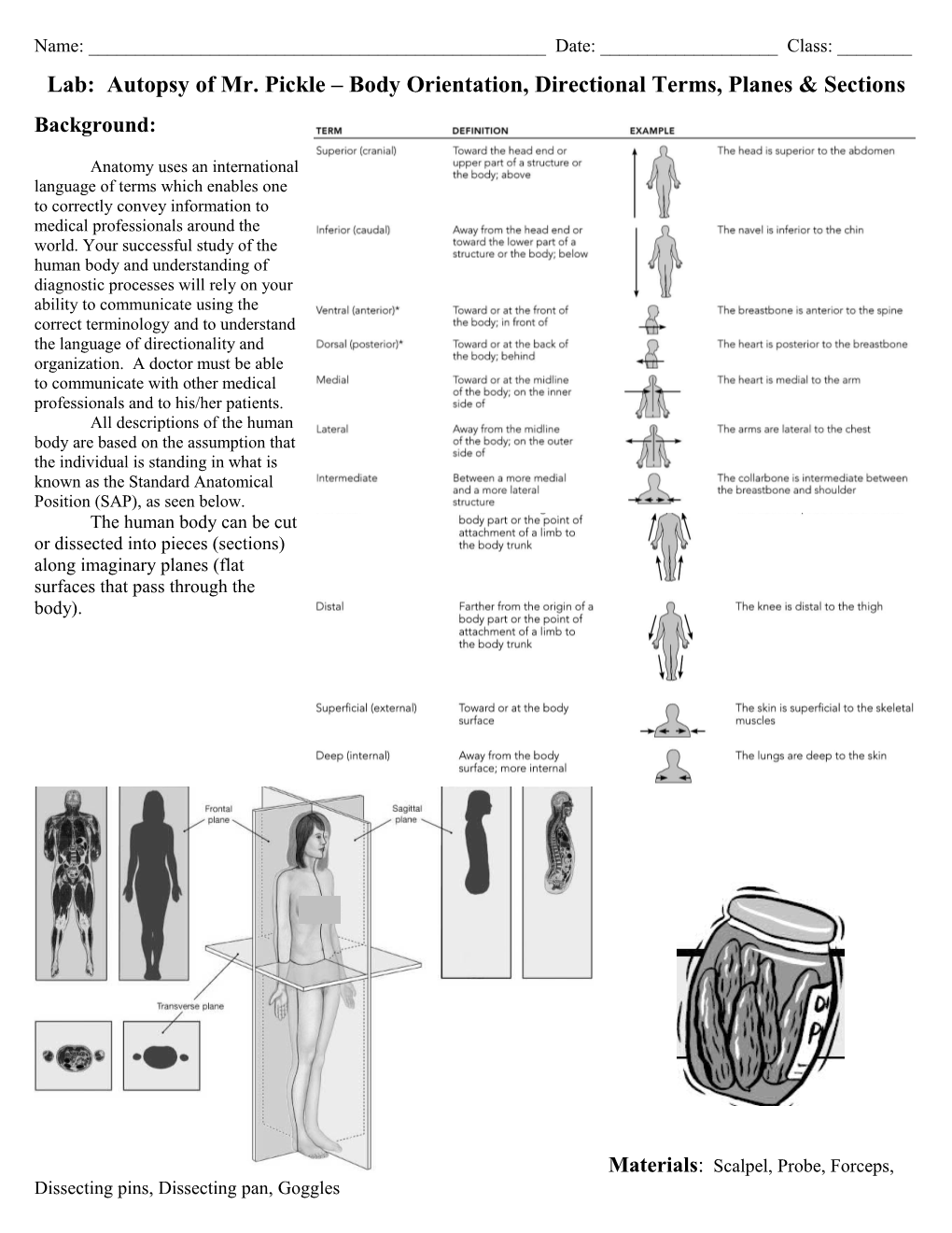 Lab: Autopsy of Mr. Pickle Body Orientation, Directional Terms, Planes & Sections