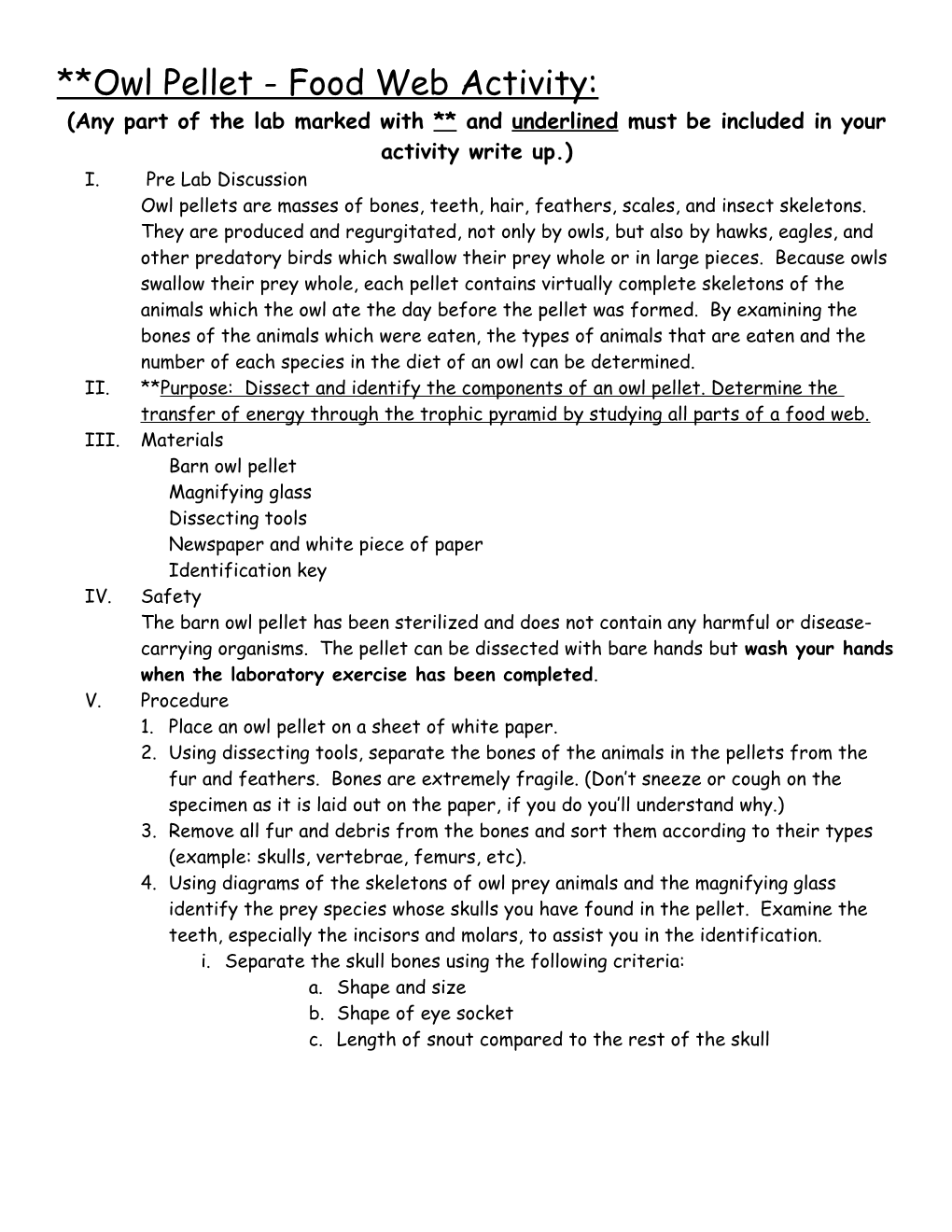 Owl Pellet - Food Web Activity