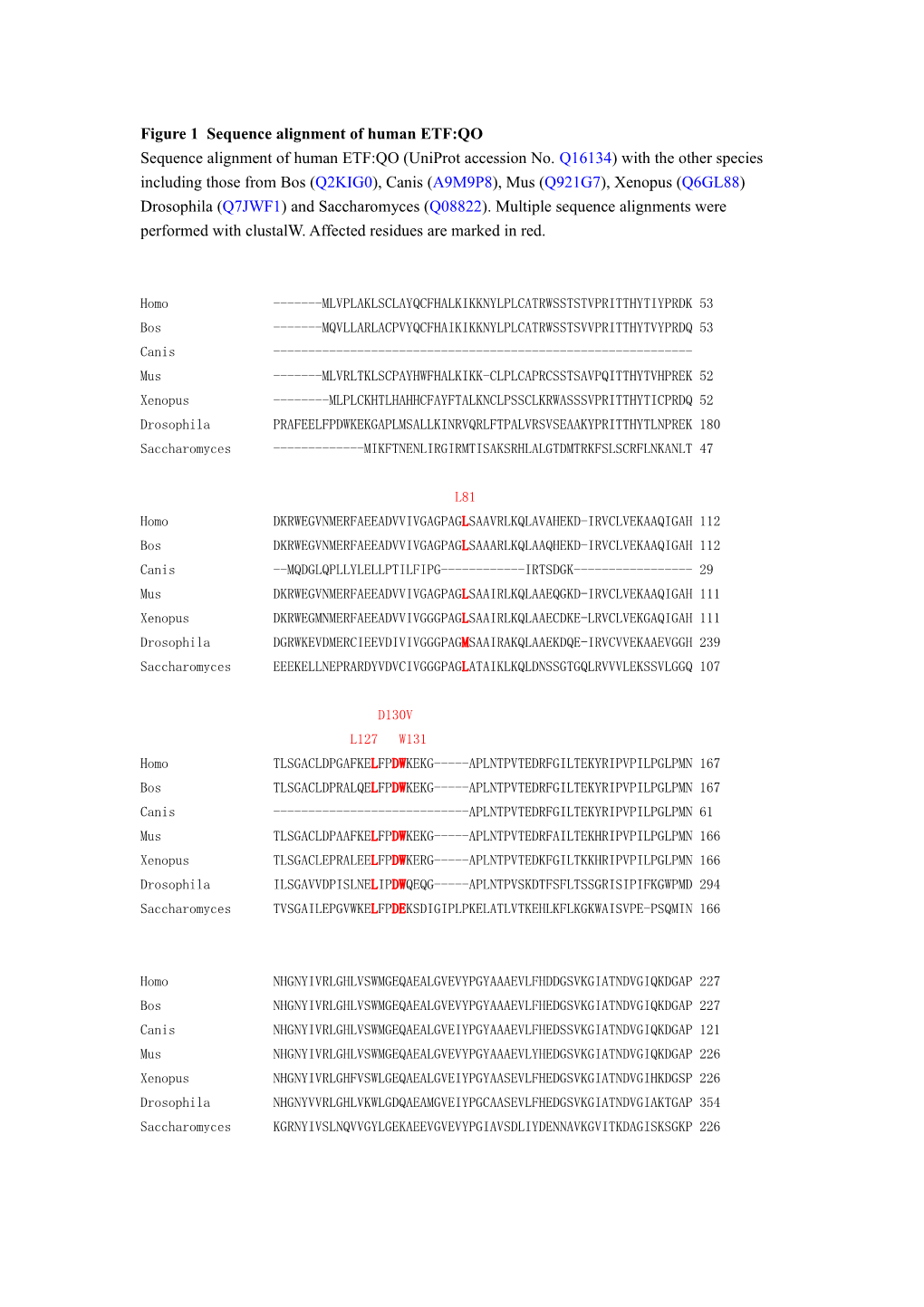 Figure 1 Sequence Alignment of Human ETF:QO