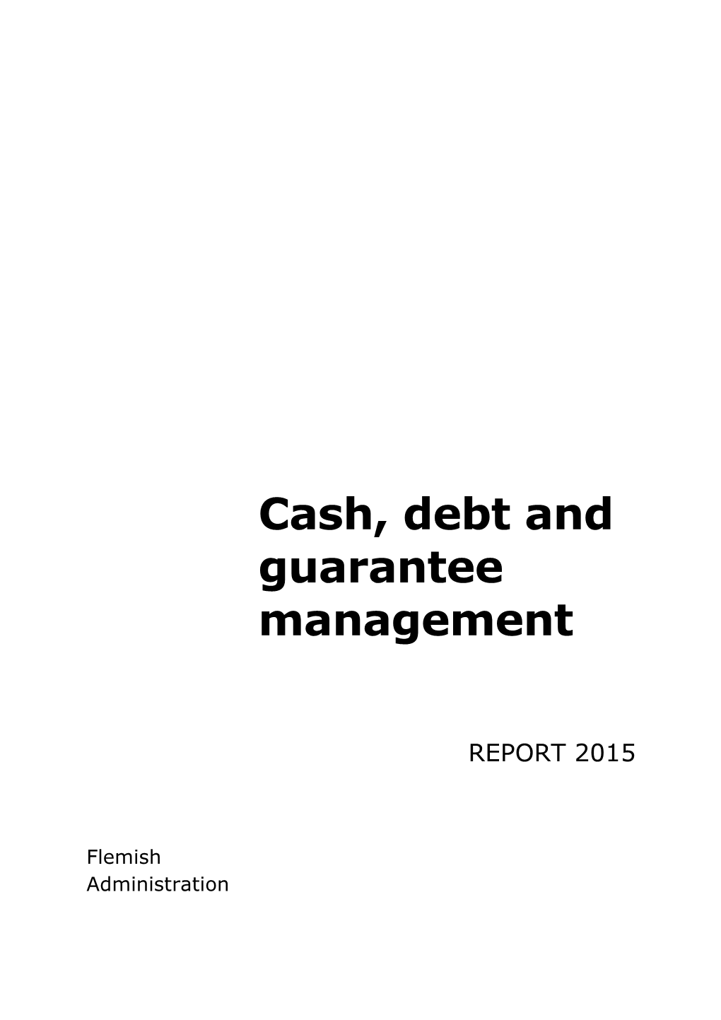 Cash, Debt and Guarantee Management