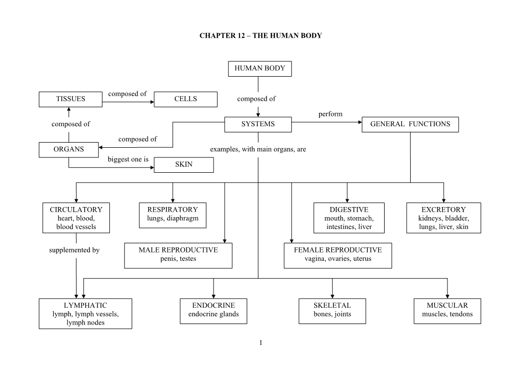 Chapter 12 the Human Body