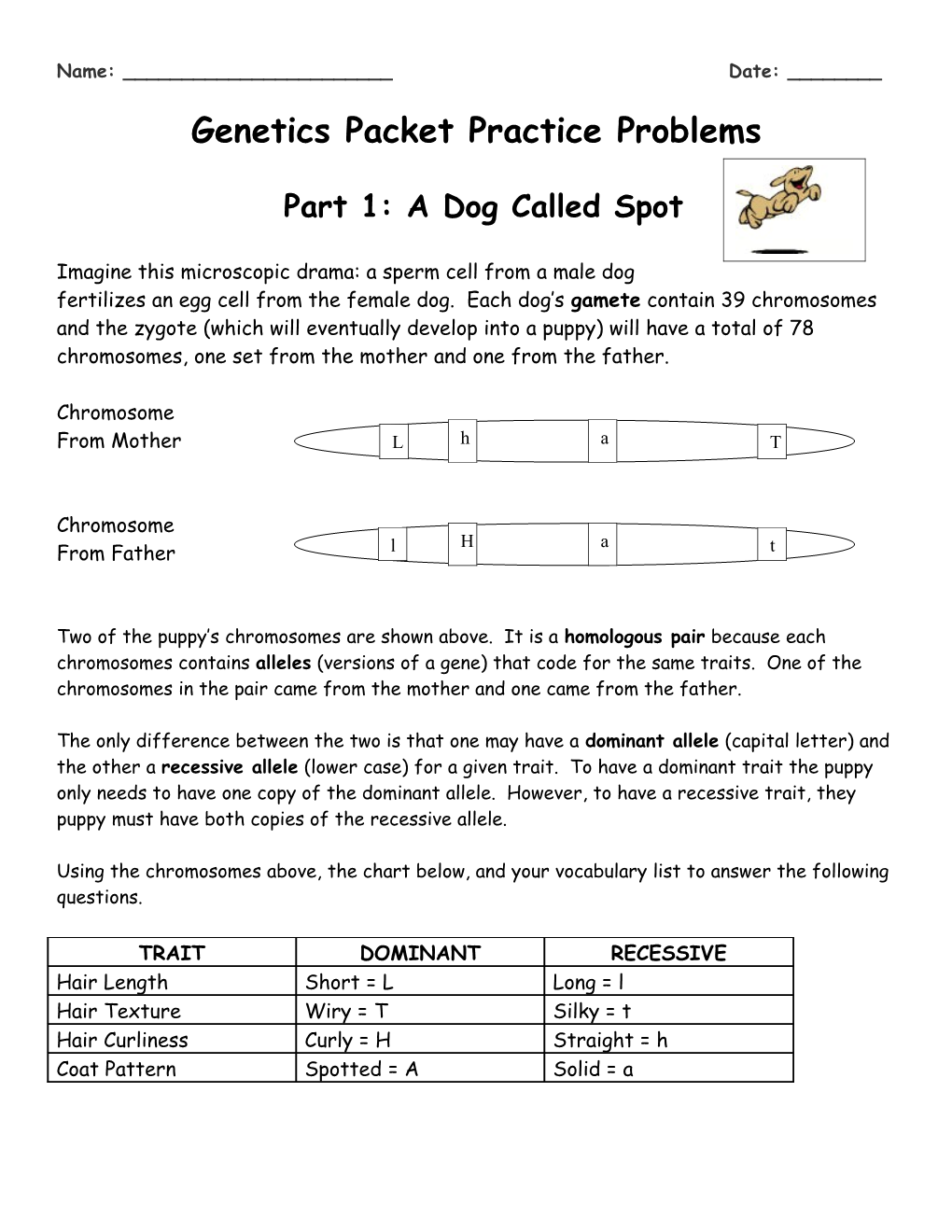 Genetics Packet Practice Problems