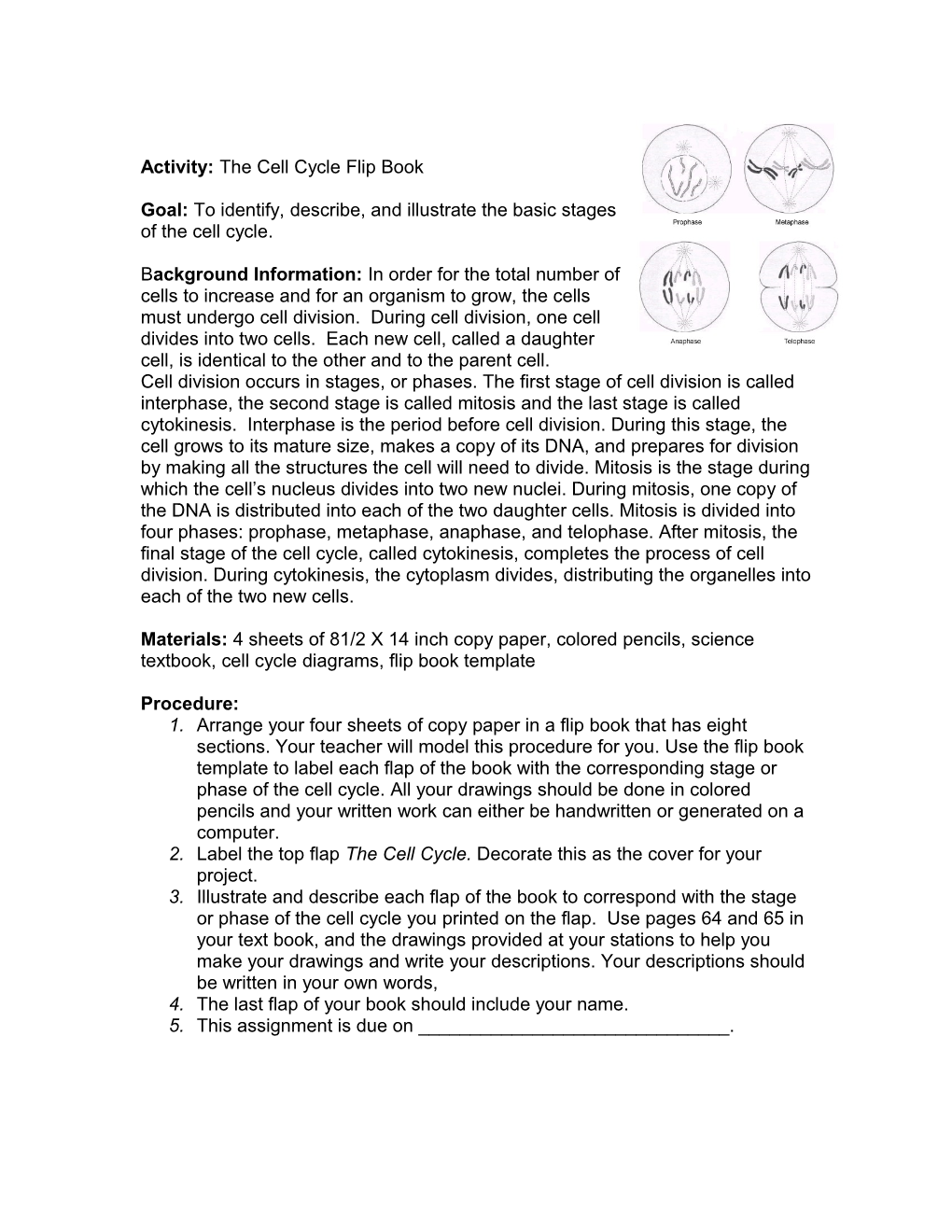 Activity: the Cell Cycle Flip Book