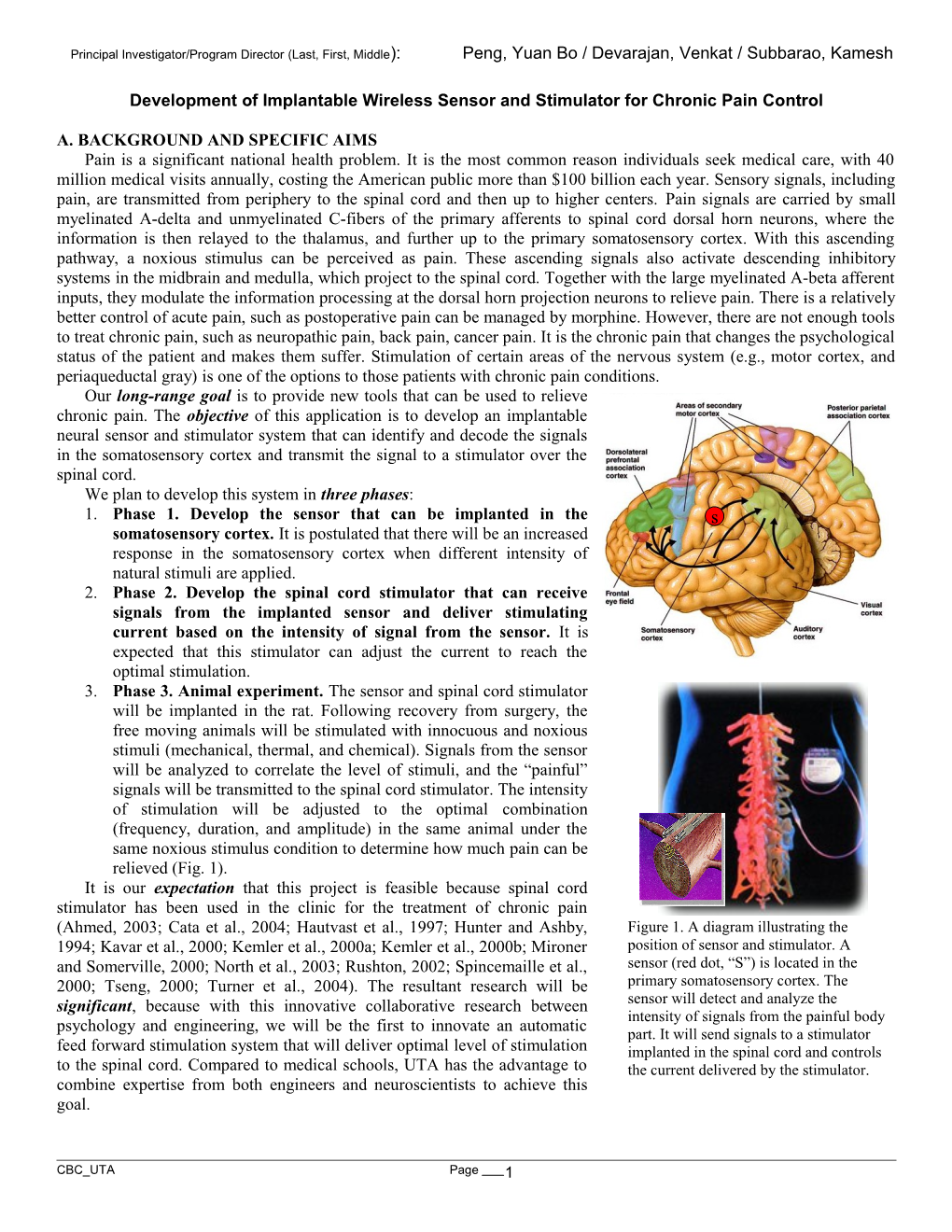 Development of Implantable Wireless Sensor and Stimulator for Chronic Pain Control