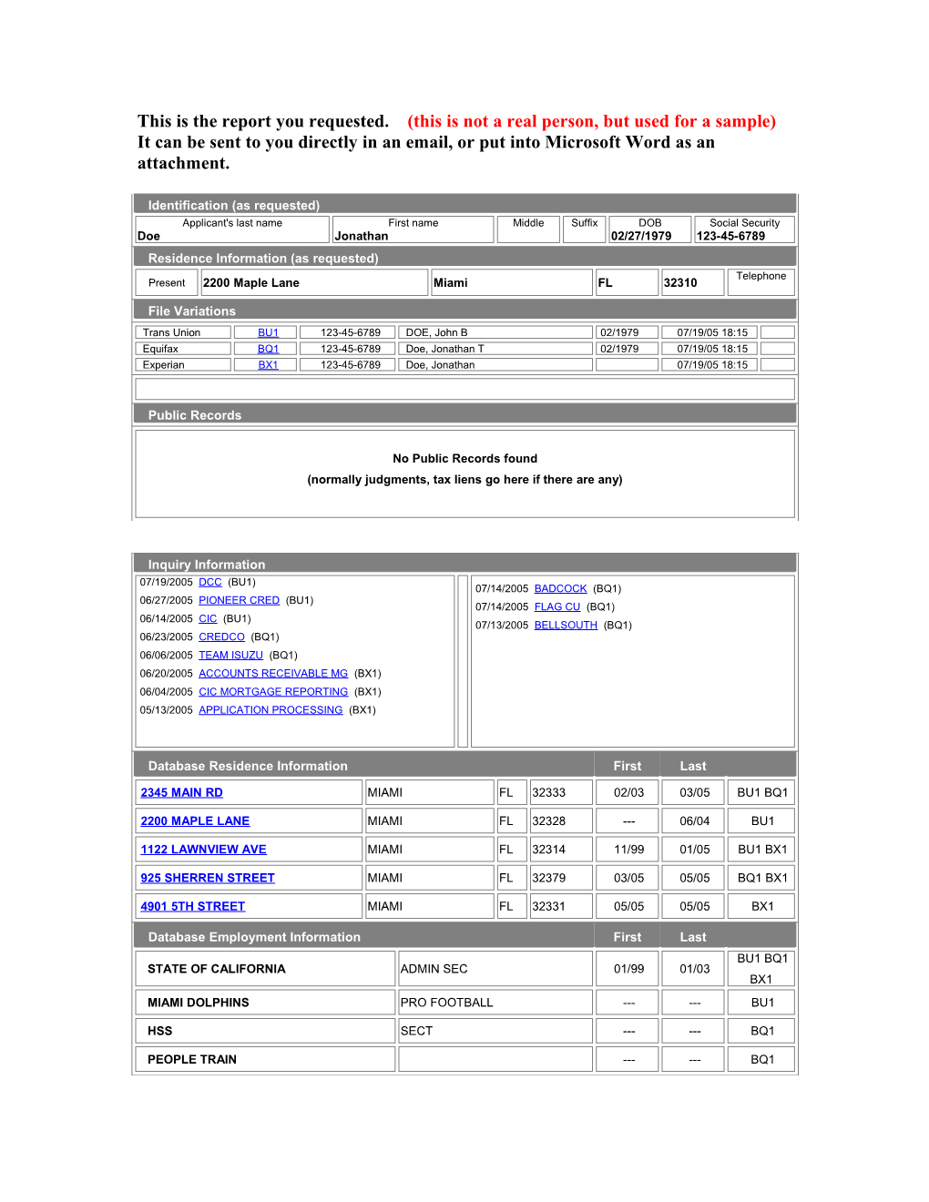 Credit Report Sample