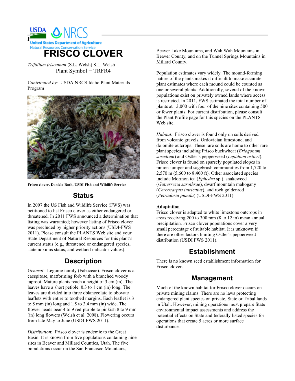 Plant Guide for Frisco Clover (Trifolium Friscanum)