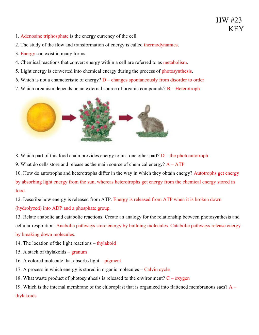 1. Adenosine Triphosphate Is the Energy Currency of the Cell