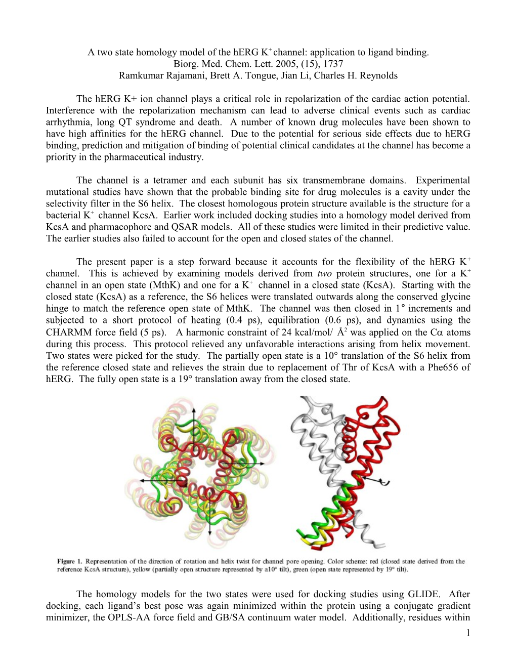A Two State Homology Model of the Herg K+ Channel: Application to Ligand Binding