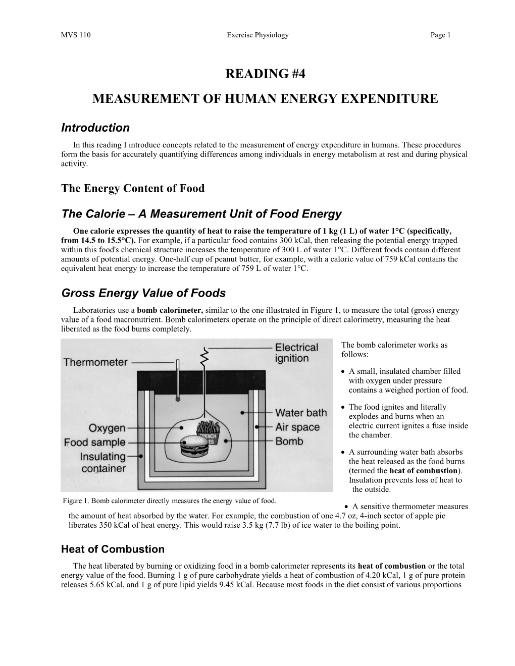 Measurement of Human Energy Expenditure