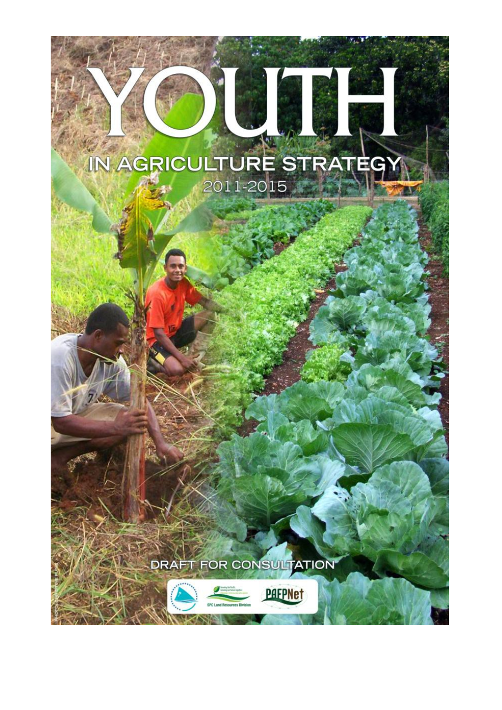 Youth in Agriculture Strategy Draft for Consultation