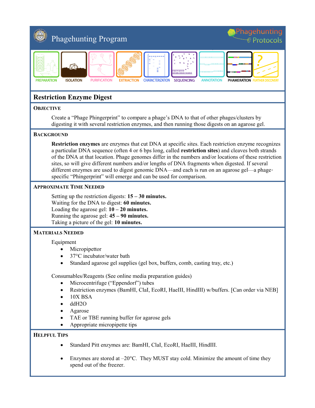 Standard Agarose Gel Supplies (Gel Box, Buffers, Comb, Casting Tray, Etc.)