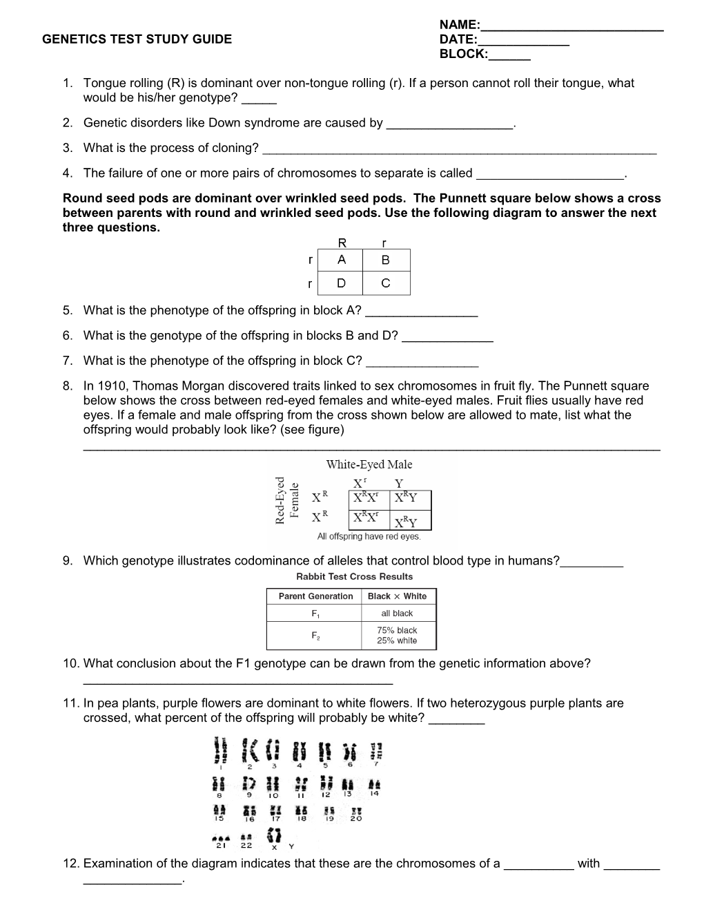 Genetics Test Study Guide