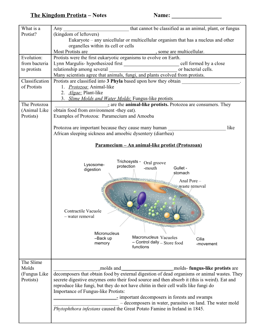 The Kingdom Protista - Notes