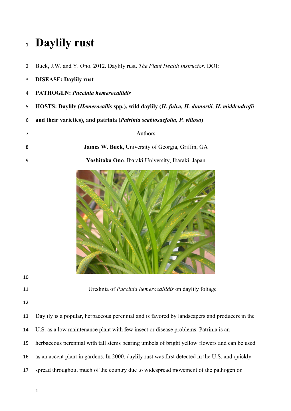 PATHOGEN:Puccinia Hemerocallidis